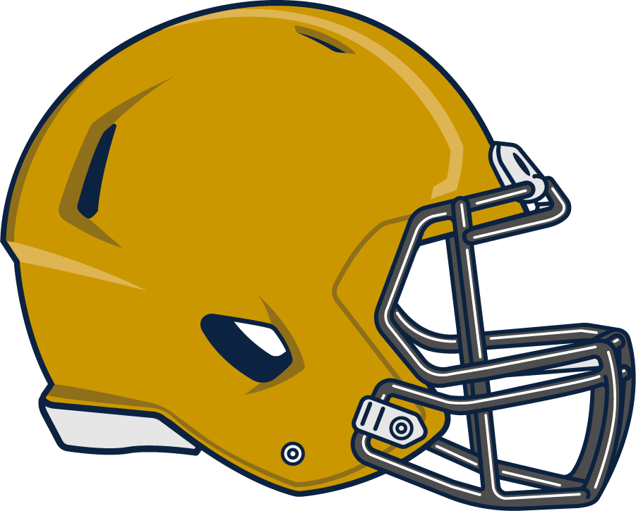 Notre Dame Fighting Irish 2015-Pres Helmet Logo diy iron on heat transfer